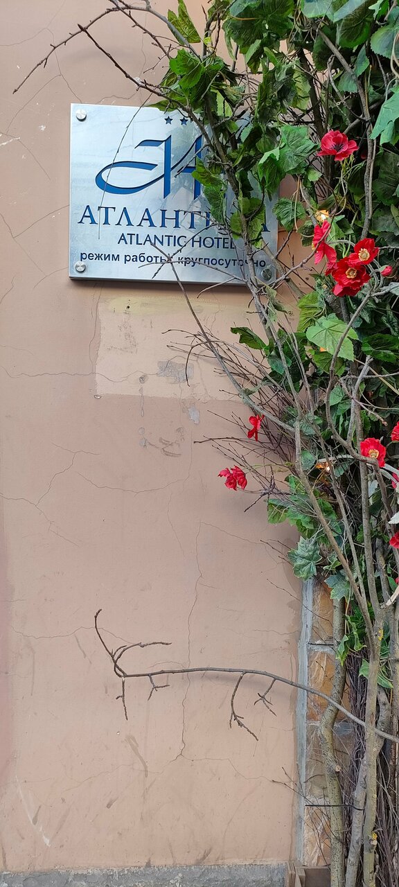 Гостиница Атлантика Санкт-Петербург-215