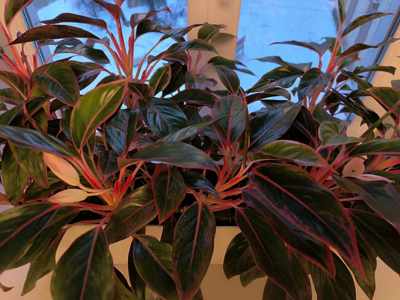 Гостиница Атлантика Санкт-Петербург-146