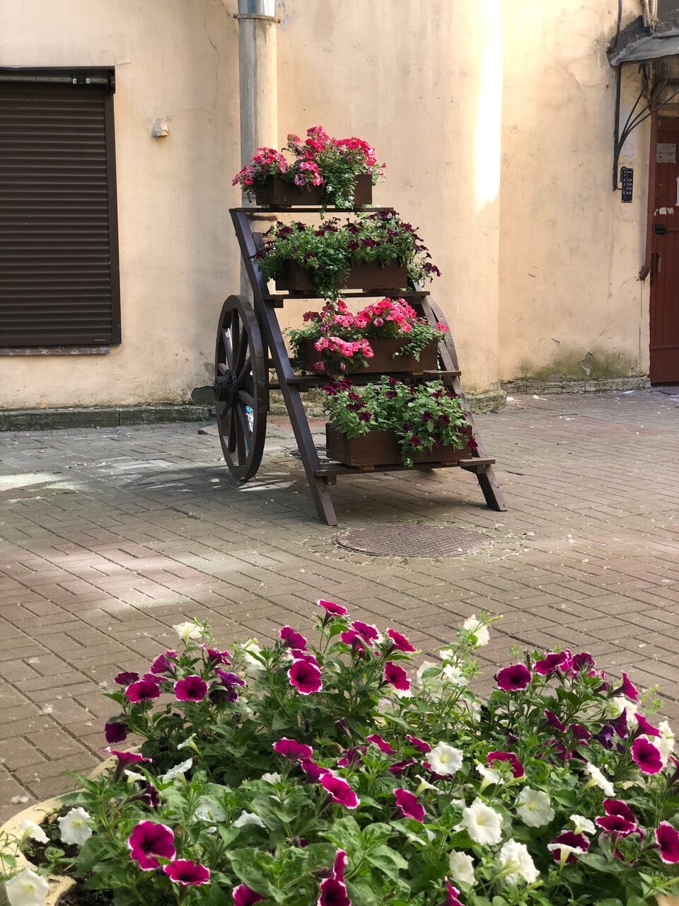 Гостиница Атлантика Санкт-Петербург-227