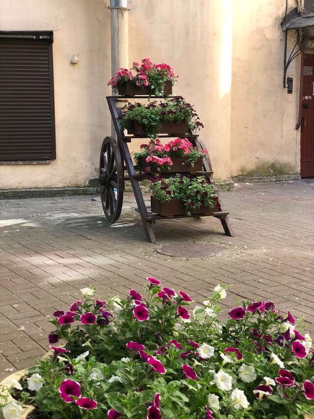 Гостиница Атлантика Санкт-Петербург-226